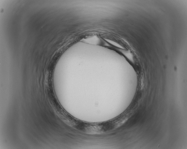 X0000086060217200704202109