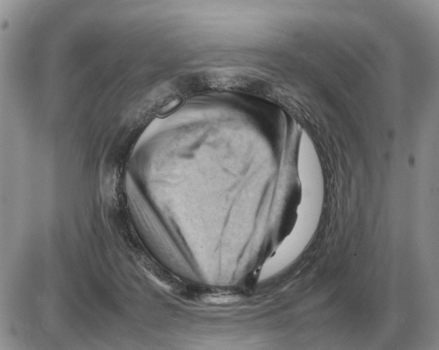 X0000086060219200704202109