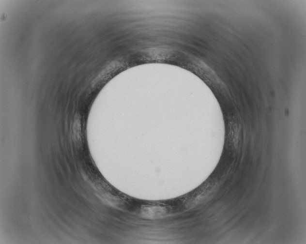 X0000086060220200704202109