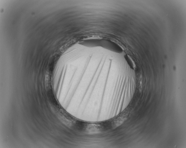 X0000086060222200704202109