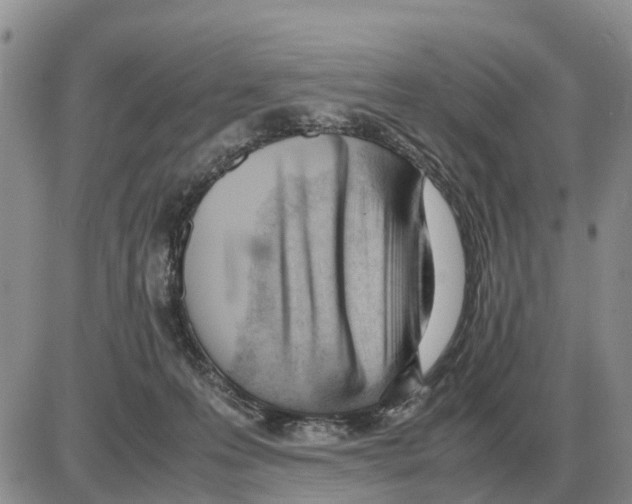 X0000086060223200704202109