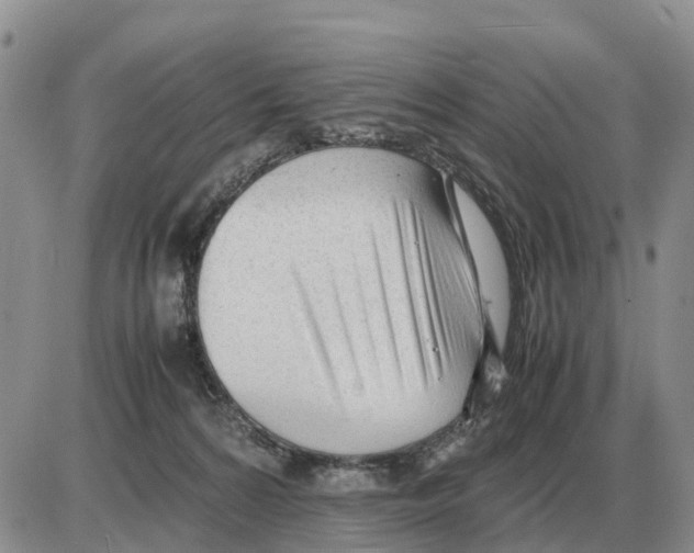 X0000086060224200704202109