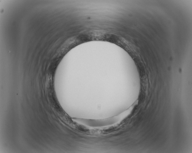 X0000086060225200704202109