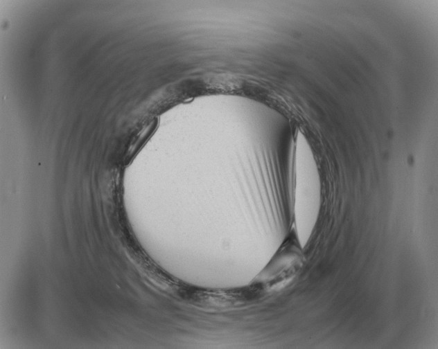 X0000086060229200704202109