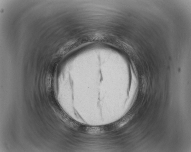 X0000086060230200704202109