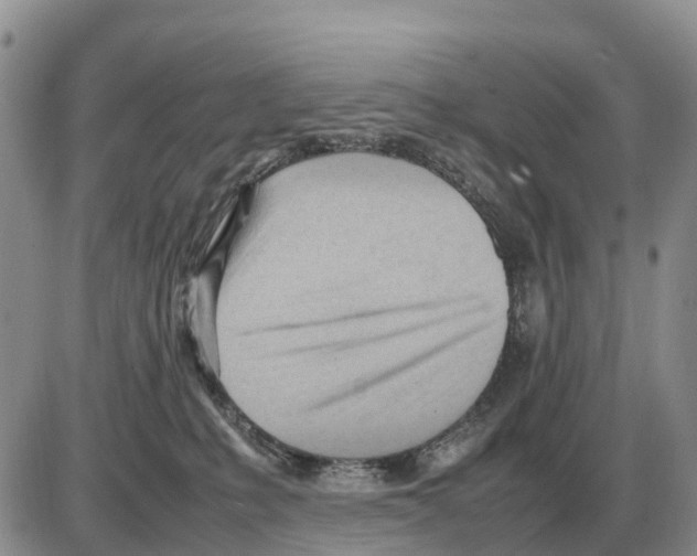 X0000086060231200704202109