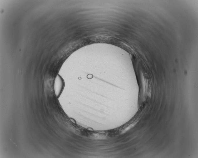 X0000086060232200704202109