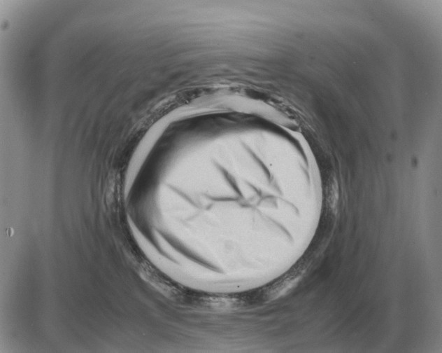 X0000086060233200704202109