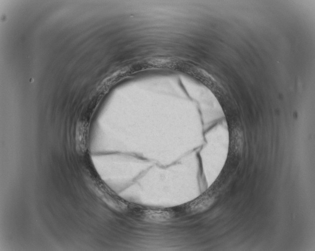 X0000086060234200704202109