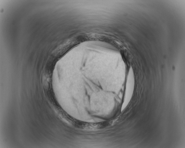 X0000086060235200704202108