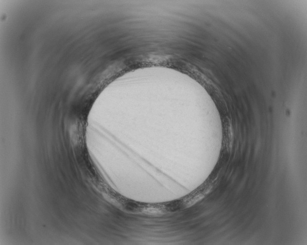 X0000086060236200704202108