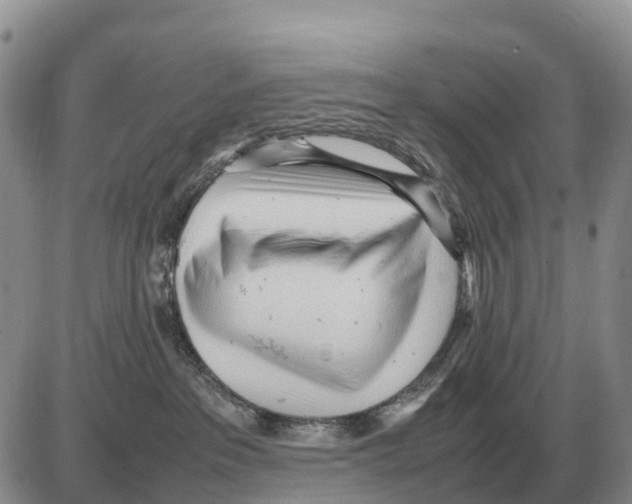 X0000086060237200704202108