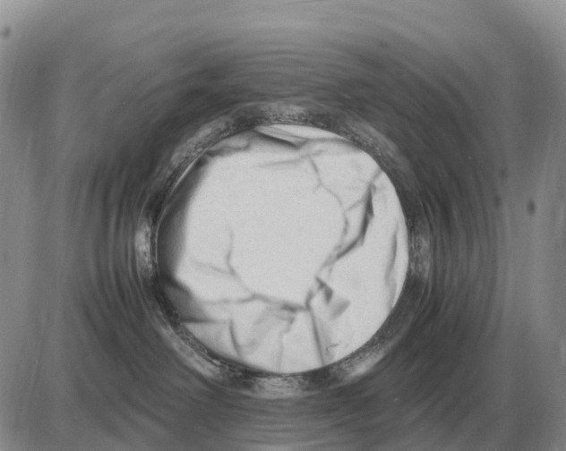 X0000086060238200704202108