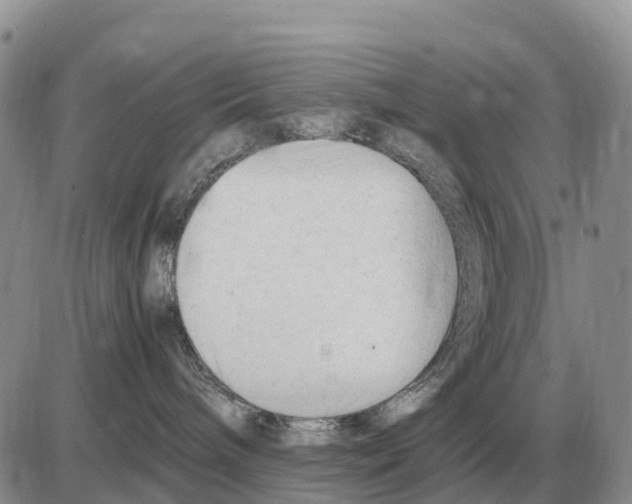 X0000086060240200704202108