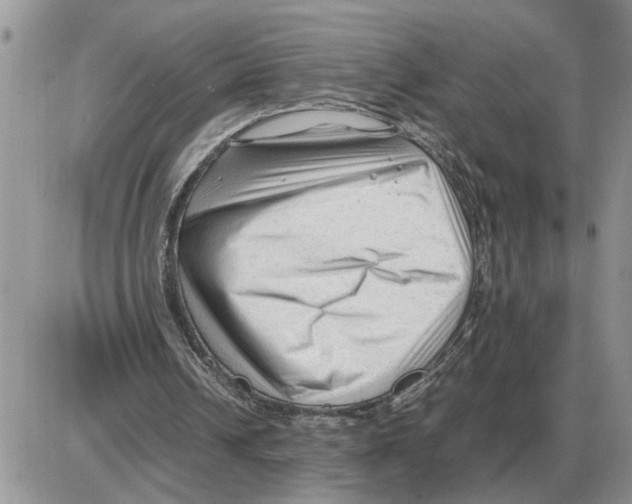 X0000086060242200704202108