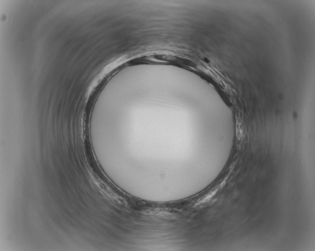 X0000086060244200704202108