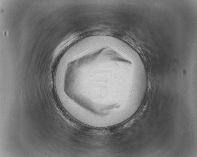 X0000086060245200704202108