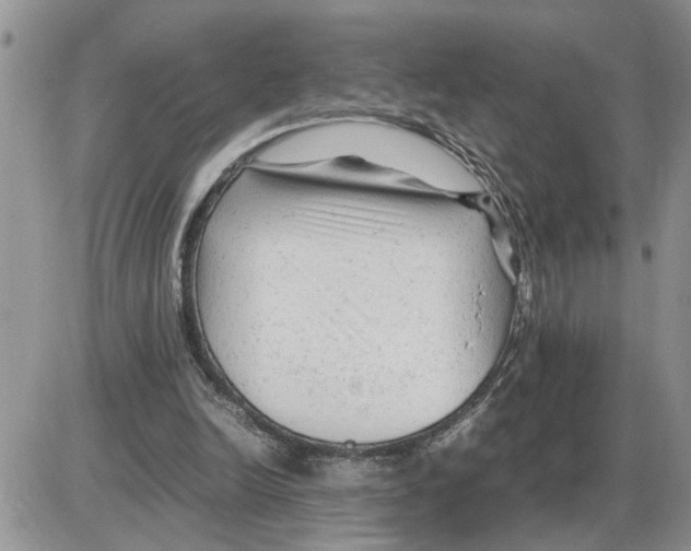 X0000086060246200704202108