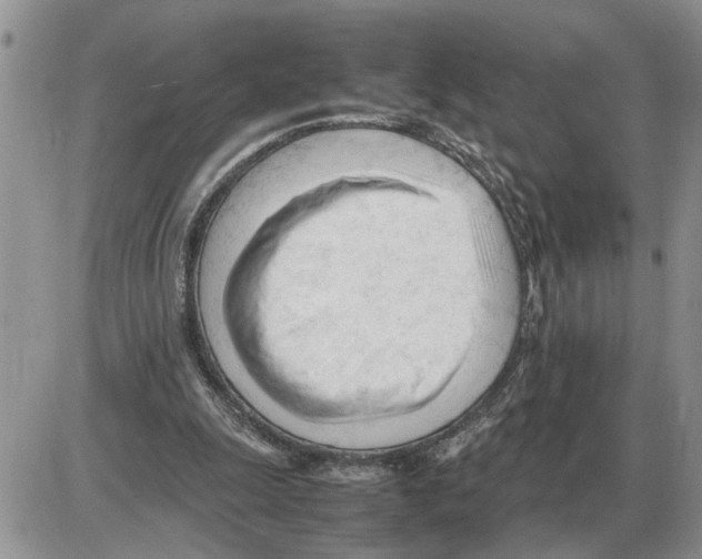 X0000086060247200704202108