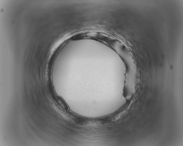 X0000086060248200704202108