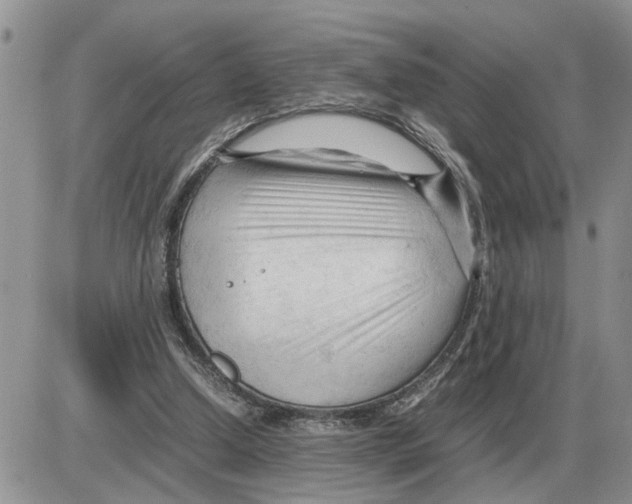 X0000086060250200704202108