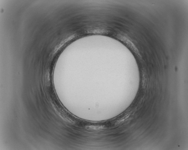 X0000086060251200704202108