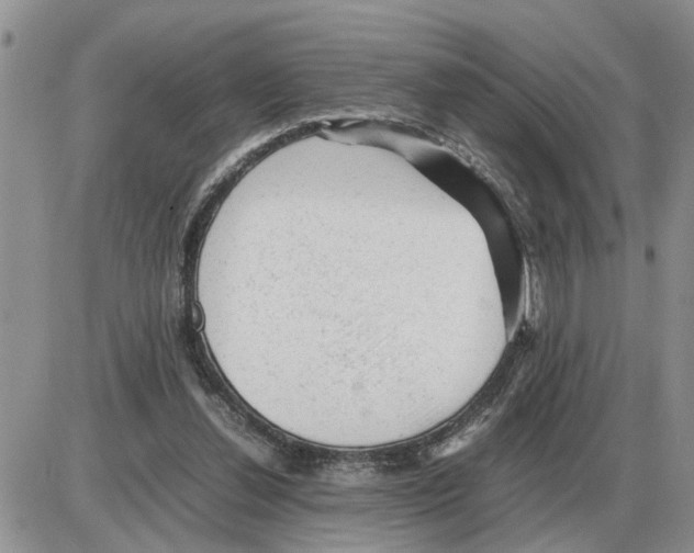 X0000086060252200704202108