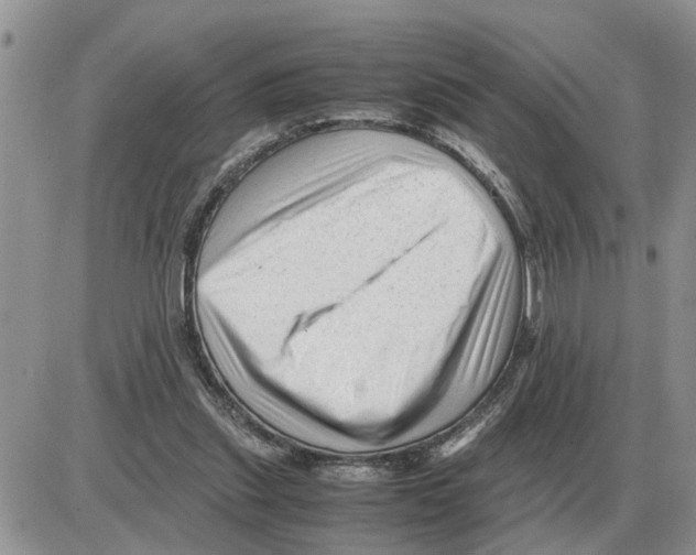 X0000086060253200704202108