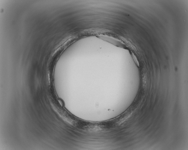 X0000086060254200704202108