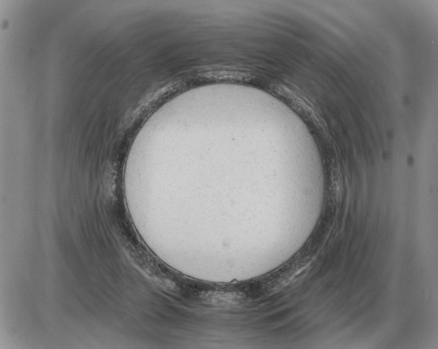 X0000086060255200704202108