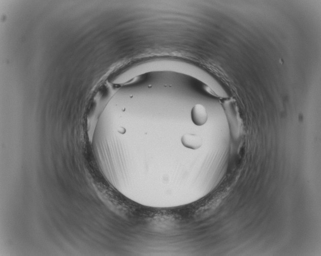 X0000086060256200704202108