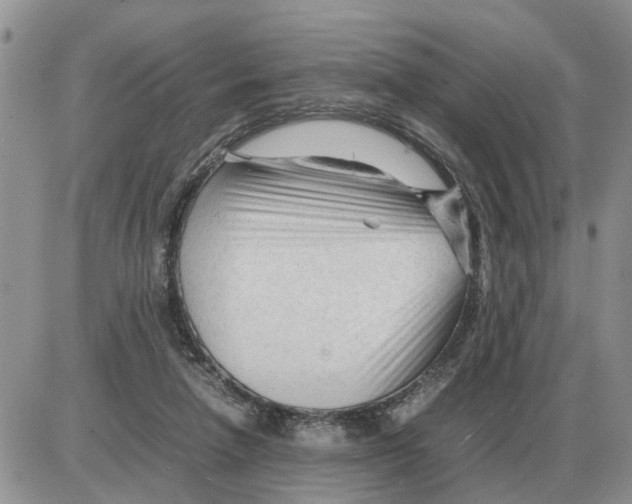 X0000086060258200704202108