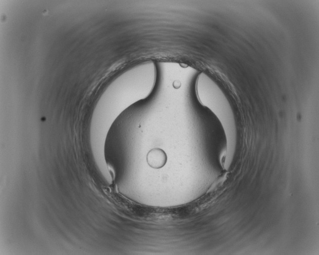 X0000086060260200704202108