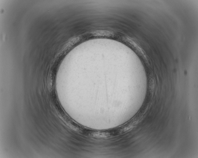 X0000086060261200704202108