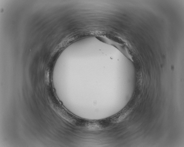 X0000086060262200704202108