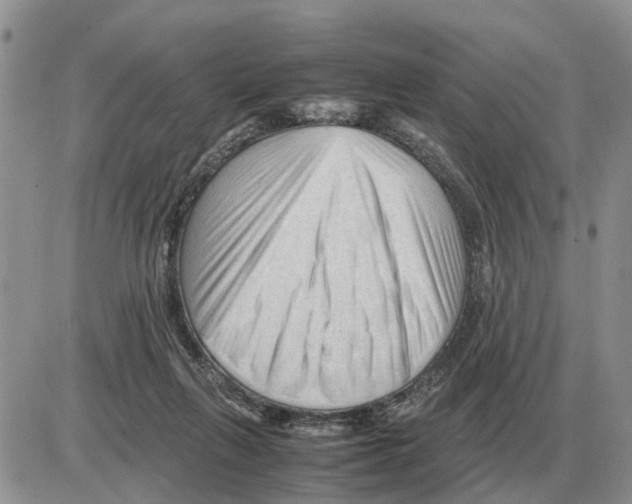 X0000086060263200704202108