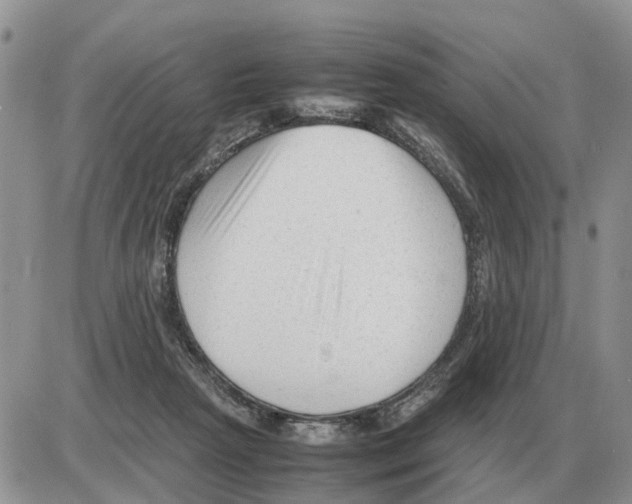 X0000086060265200704202108