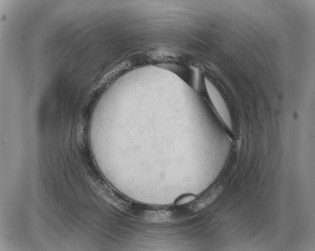 X0000086060266200704202108