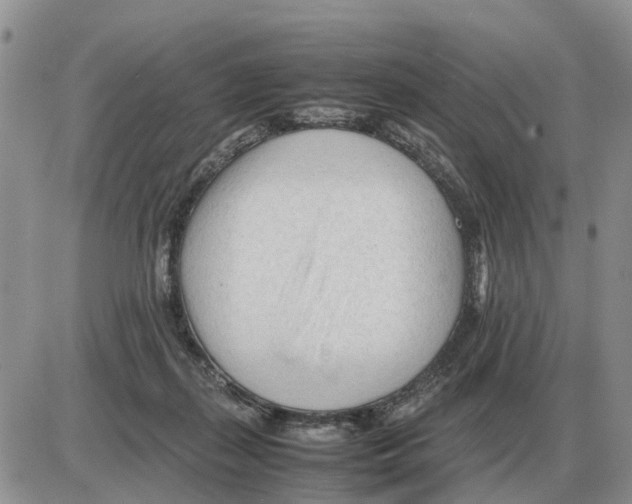 X0000086060267200704202108