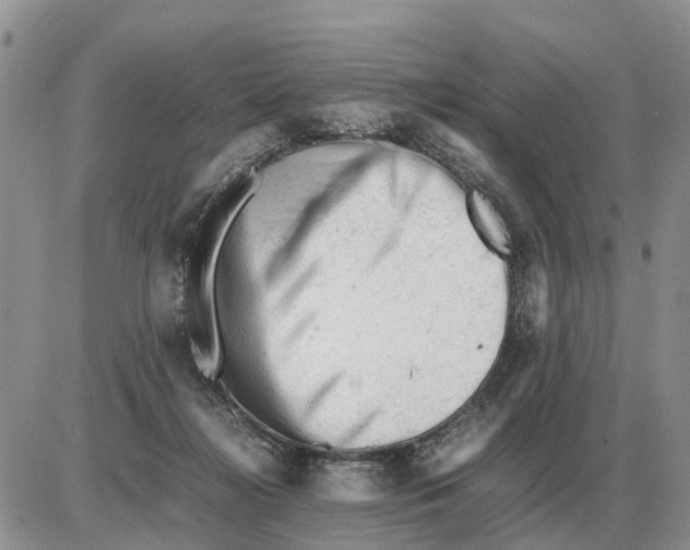 X0000086060268200704202108