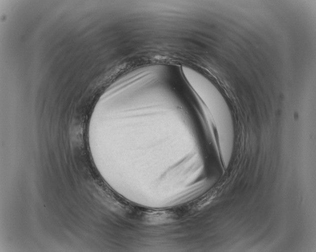 X0000086060269200704202108