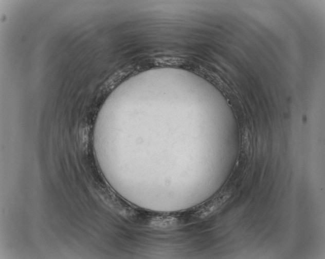 X0000086060271200704202108