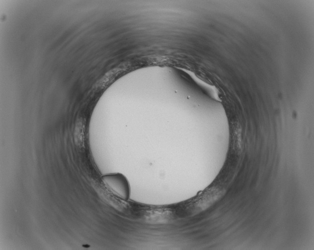 X0000086060274200704202108