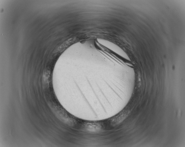 X0000086060275200704202108