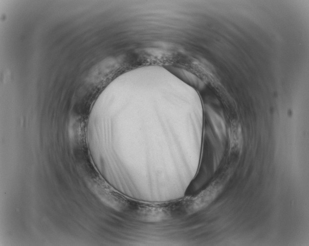 X0000086060276200704202108