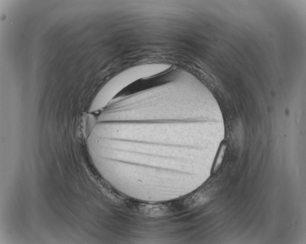 X0000086060277200704202108