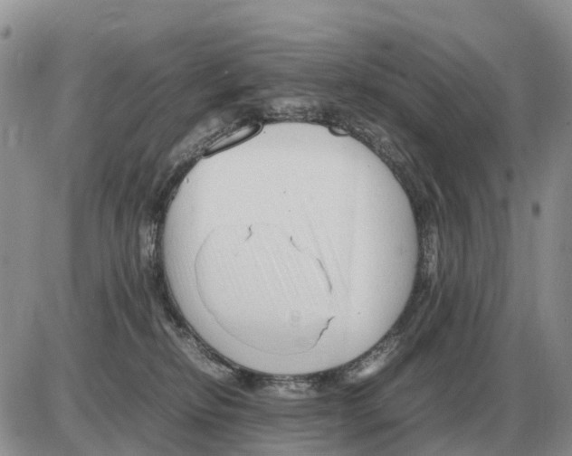 X0000086060278200704202108