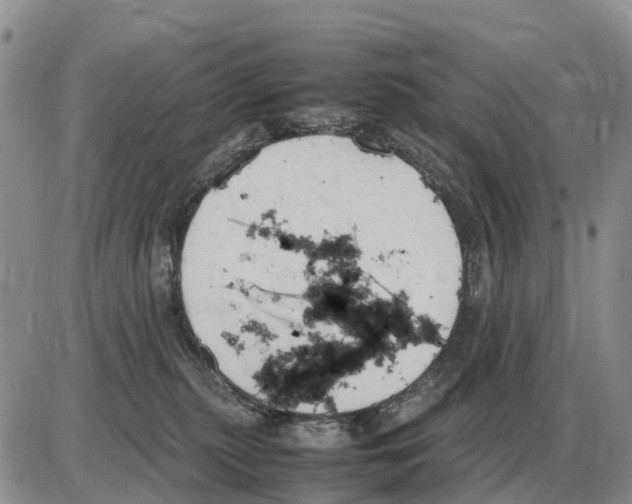 X0000086060279200704202108