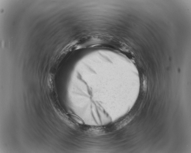 X0000086060280200704202108