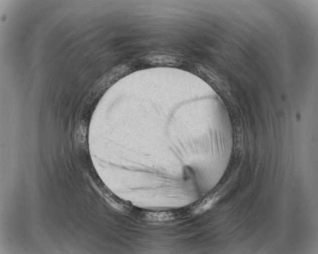 X0000086060281200704202108